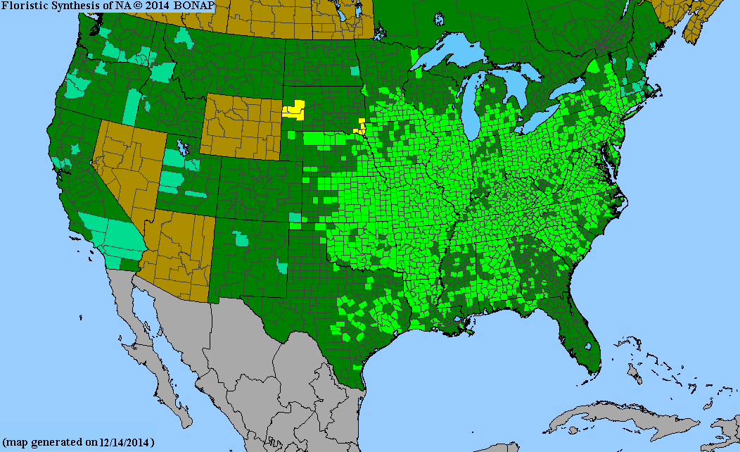 Native range map for Juglans nigra.