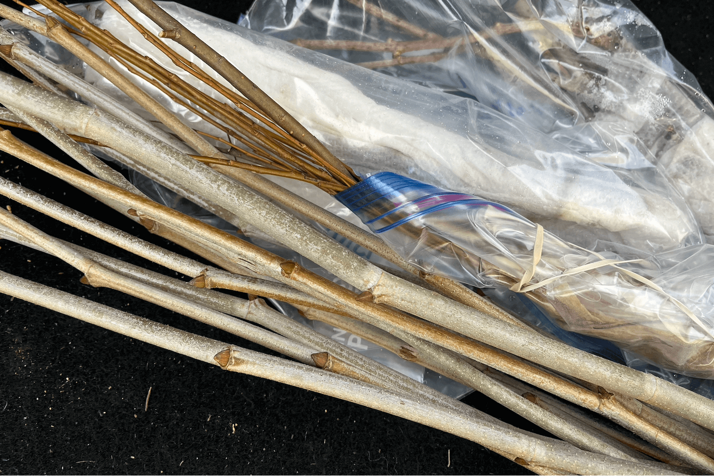 Fast Floodplain Forest Kit